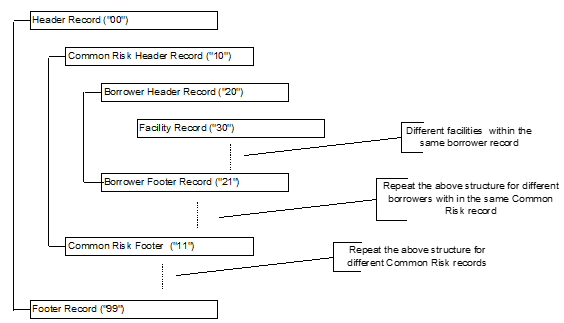 File structure