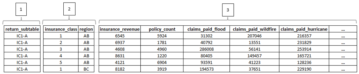 The three types of data fields in the IC1 Return. A text description follows.