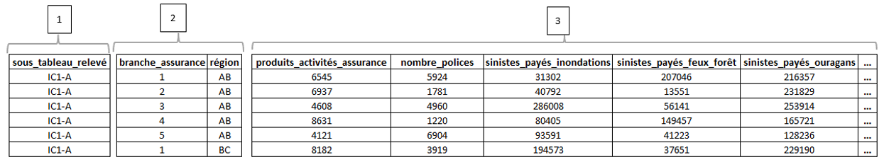 Les trois types de champs de données du relevé IC1. Une description texte suit.