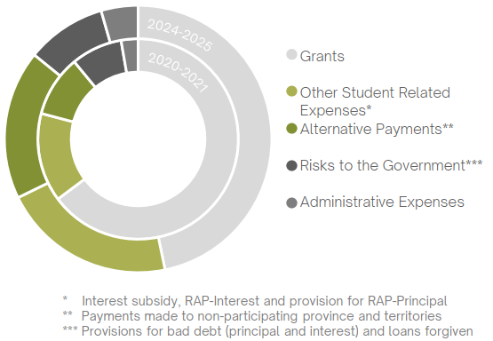 Doughnut chart showing the total program expenses divided in 5 categories for 2020-2021 and 2024-2025