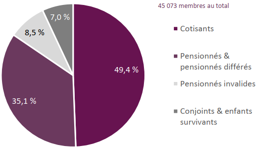 Pie chart showing 