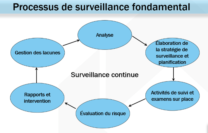 Processus de surveillance fundamental. Description texte suit.