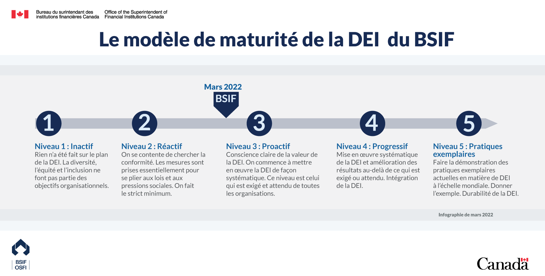 Modèle de maturité de la DEI